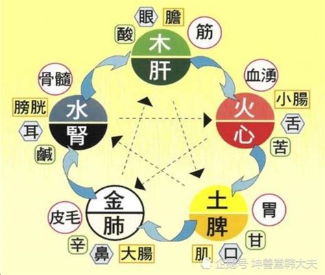 中醫五行歸類表|中醫基礎/五行學說